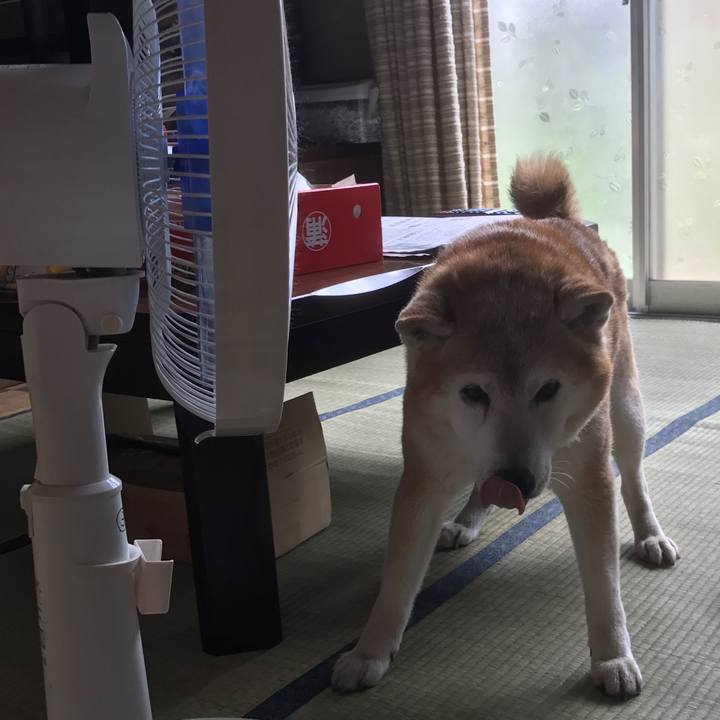 8df661d0 a09b 4356 b0c5 88fb6ac80cbe