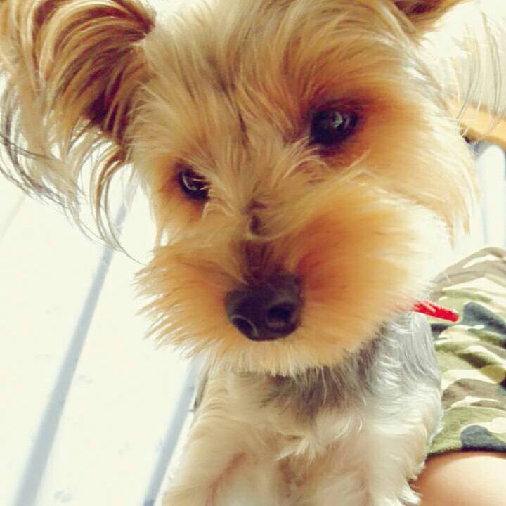 8df6fcb6 9df6 45d8 bfa4 aa93b8aef717