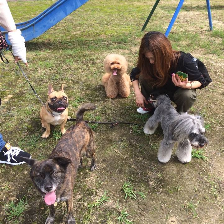 8df7735f a9bc 479f 84ca 4a4f6b1b34da