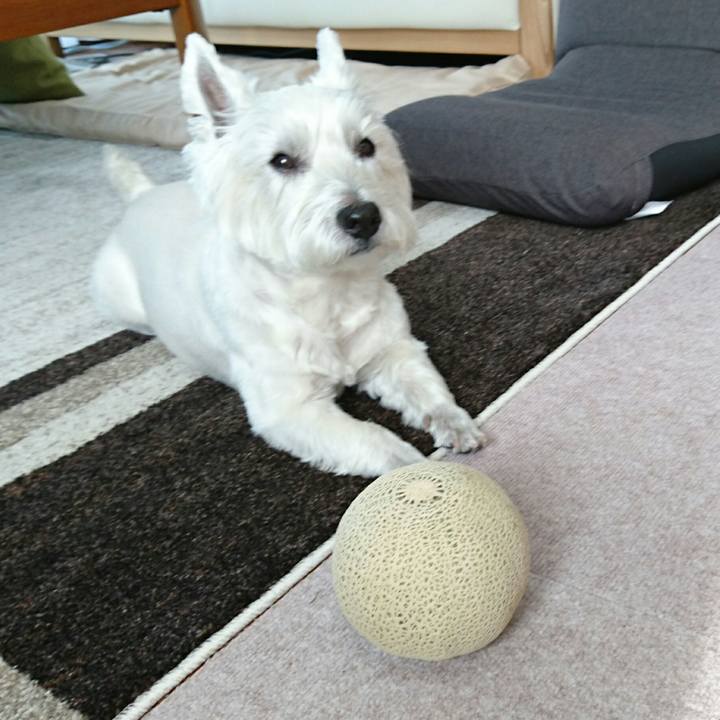 8df79962 2c9b 4981 b6dd 4543966cb019