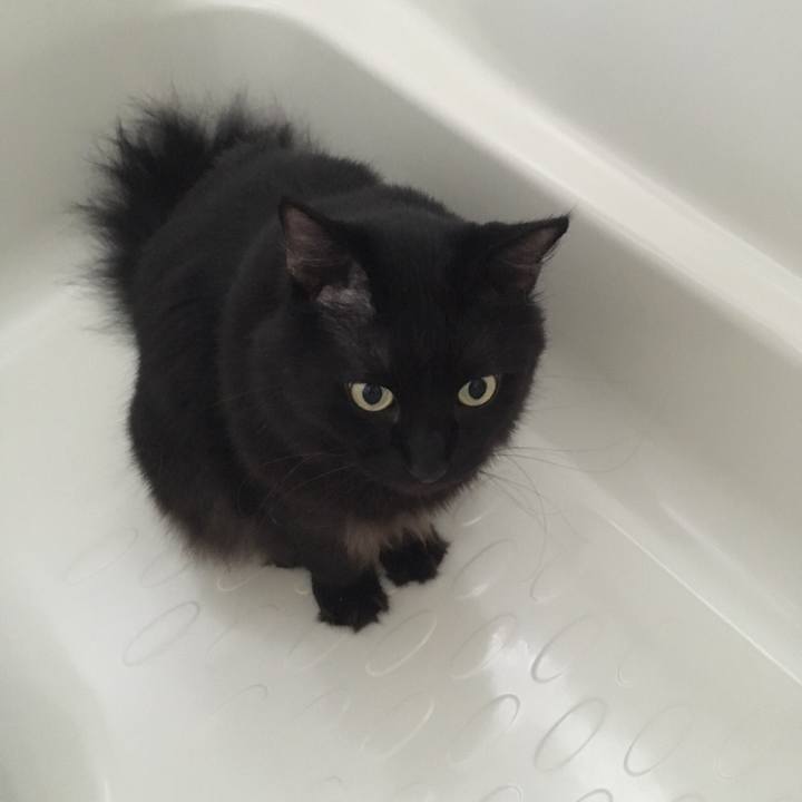 8df79ac9 81ca 49bb bb4d 19fe634e1383