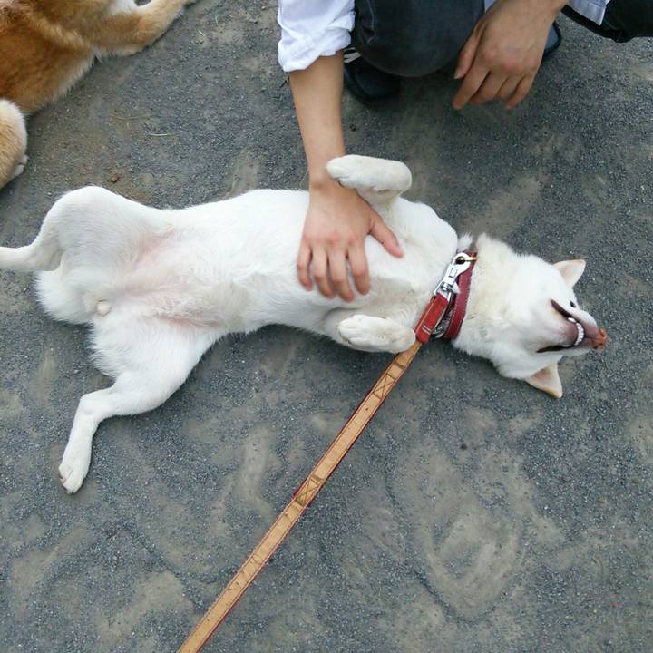 8df8260f 0678 4bf1 a23d 80a46ec9840e