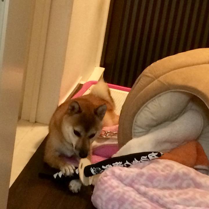 8df83cfc d8c7 4800 a8a1 e078e6e2196b