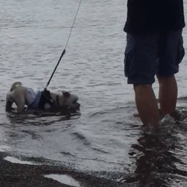 8df86af4 2670 4b53 976f a3485e083585