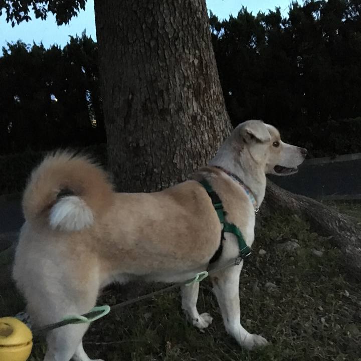 8df86e3c 5dff 411d 87e7 02010a9dcff3