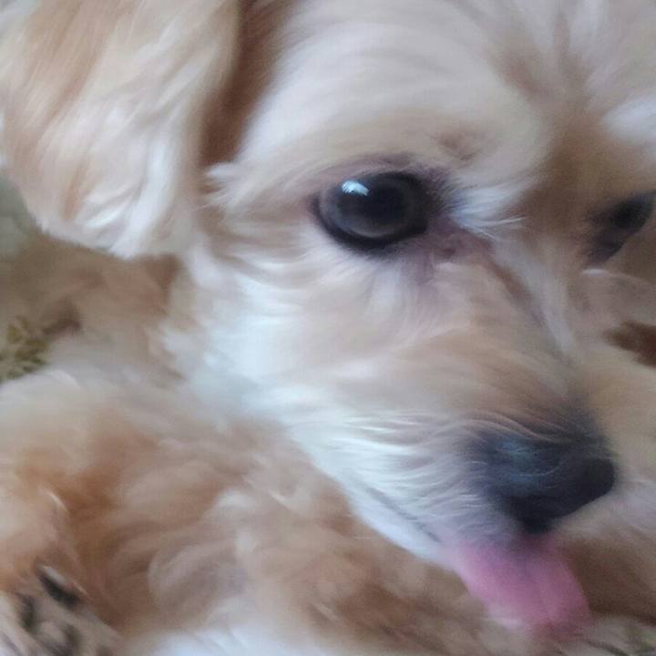 8df8b69e 5691 48d9 92e1 2582b300144a