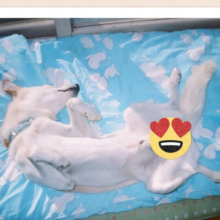 8df8f996 c4dd 4f06 bc7b d6b25a6a9a0b