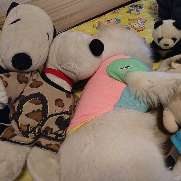 8df92bd9 bb2d 4644 83d3 d657d26437a8