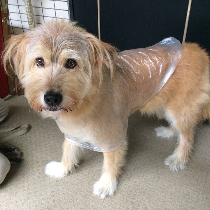 8df933c9 5548 41f8 bb32 5b0c8b860971