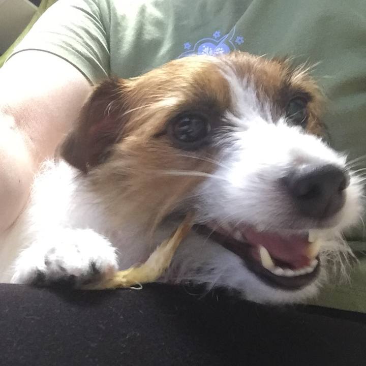 8df99266 4873 47ac a392 6dc790e7b1cb