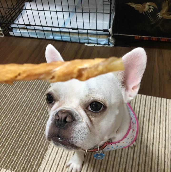 8df9a95c fa01 44cd 8bca 54d5895ce246