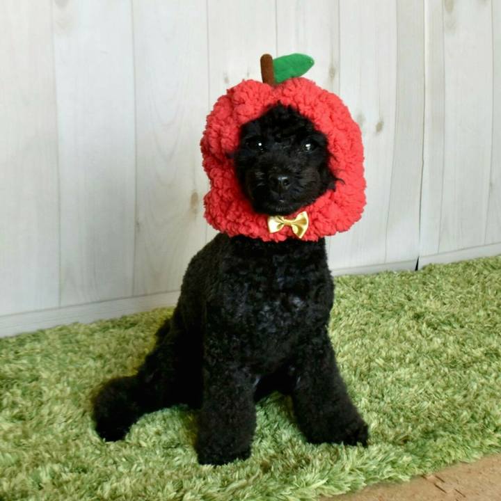 8df9edb5 d0cb 4080 a016 553c9e558b8f