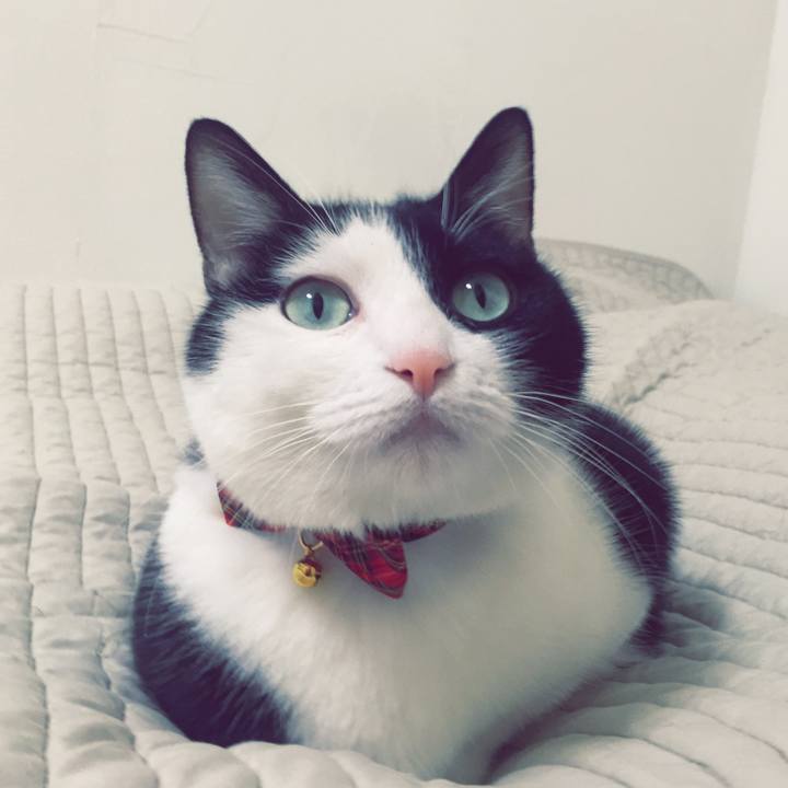 8dfa0a21 1b02 465d bde9 862f3c189ea5