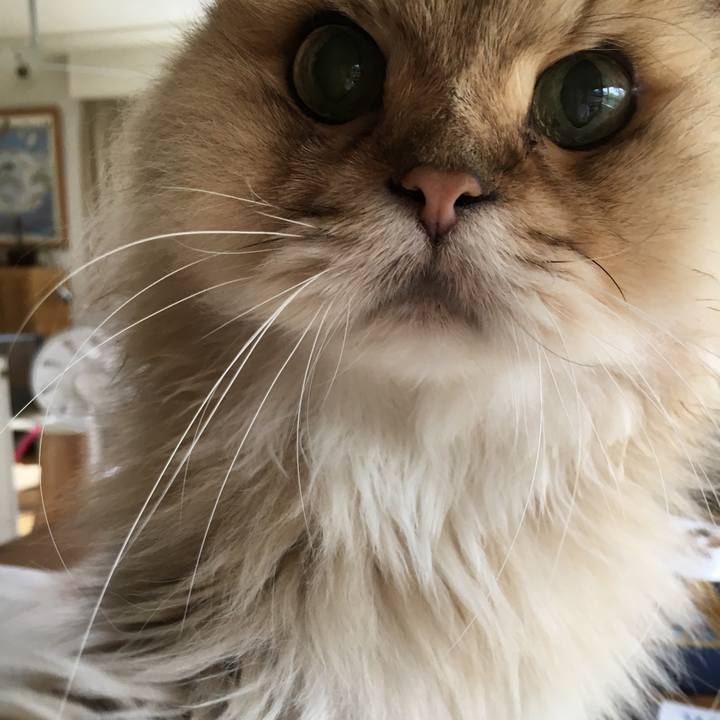 8dfa3d17 4561 4213 abd8 5de8152bf59e