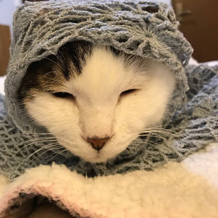 8dfae54c 34aa 43d2 89a5 ec7f08f03279