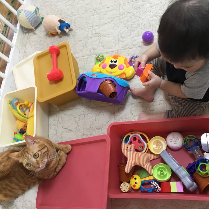 8dfaf670 9853 484f b54c 10341ab8afab