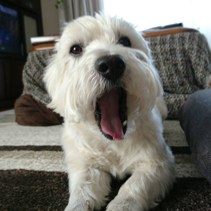 8dfb4602 ec2d 4c3f b34a 49a523d6598c