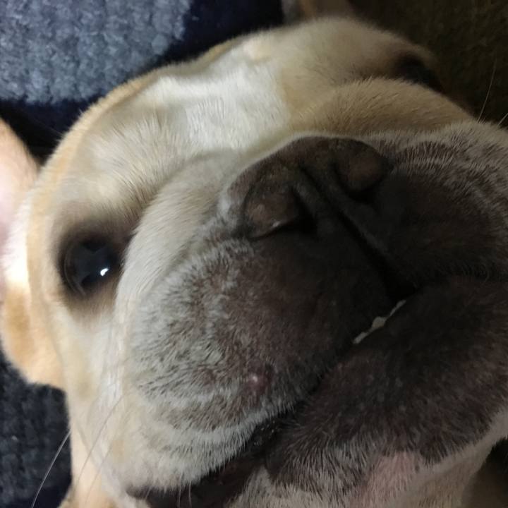 8dfca15f 1e08 4176 bb2c 9ea257249300