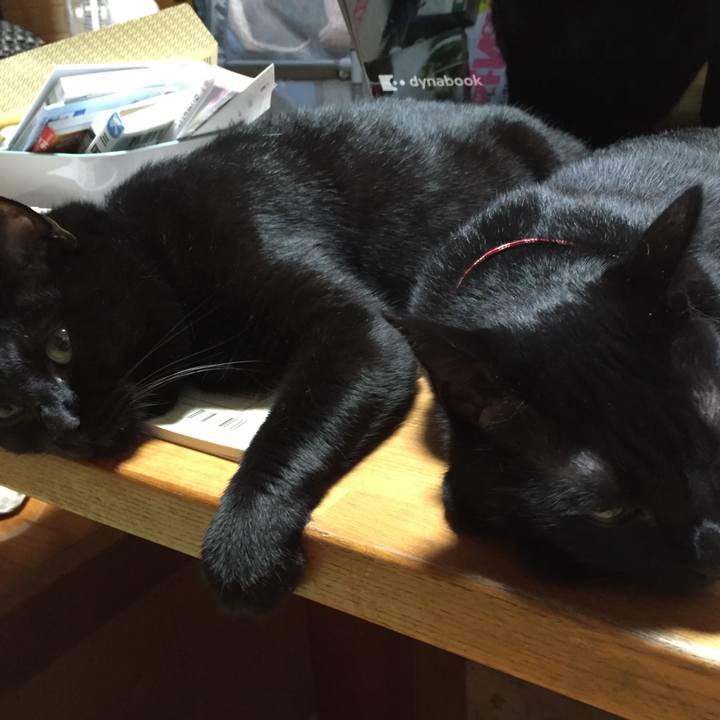 8dfca66d 29d9 41f3 afdf 9f98ed868b94