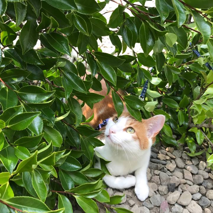 8dfcc1f5 0b69 4c45 bac2 8e85b2a16be6