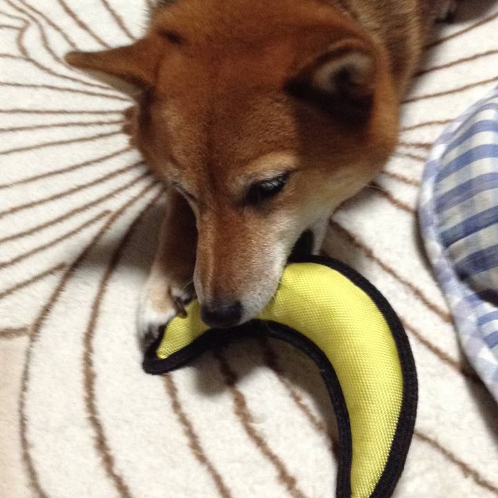 8dfda467 54cb 4e69 bfca 8852d709f9a6