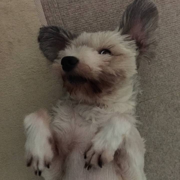 8dfe236b 11a2 47a8 996f 2f941f20d347