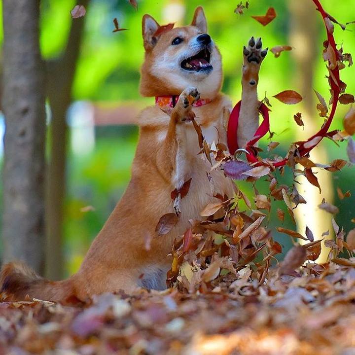 8dfe2470 8a1f 45b1 bb40 6e12056ab46f