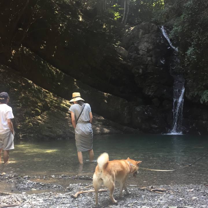 8dfe85d3 5bb3 4dcd a995 e851d94e19ce