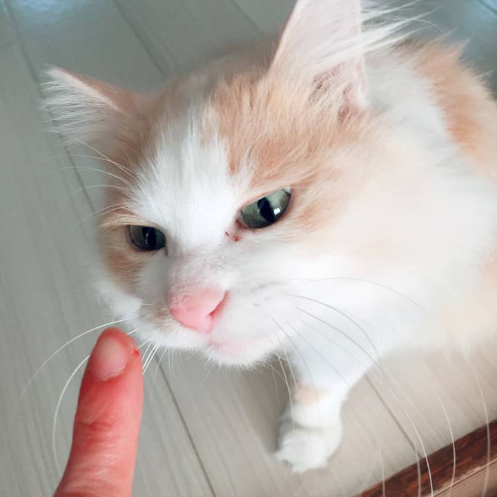 8dfed28b 744c 4445 8873 09d1b72db20a