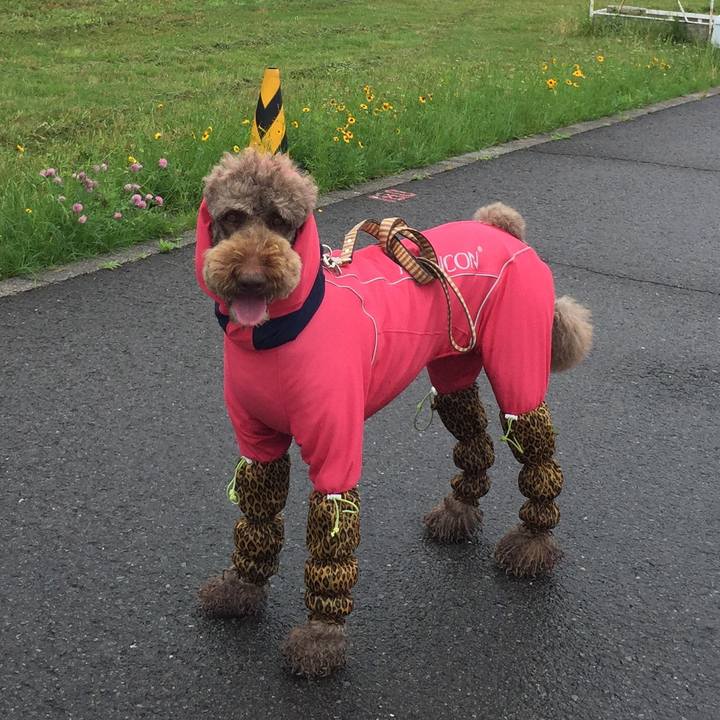 8dffa2f4 5cb0 4eb0 a6a6 f86b0ce735ac