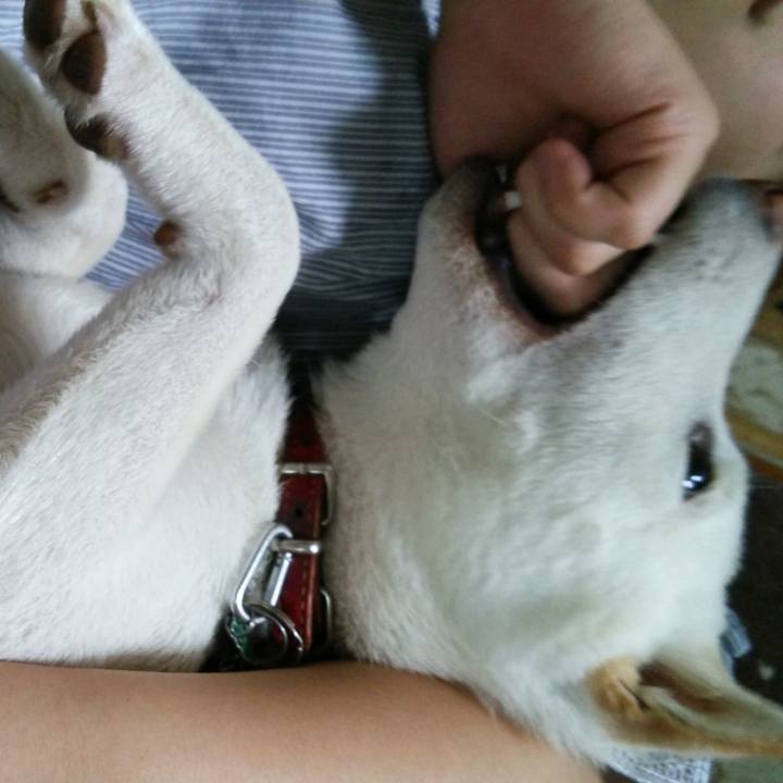 8dffa7e4 728a 4232 b0c4 cb344c70cdde