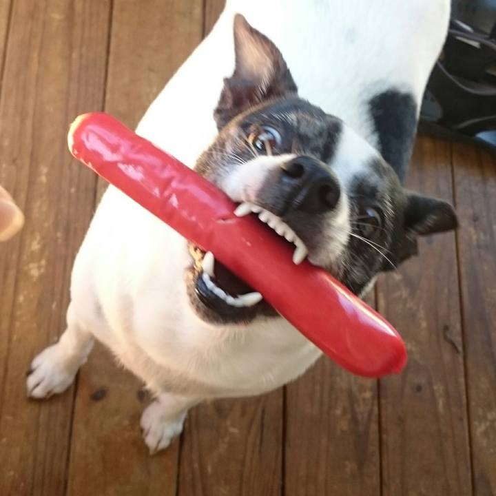 8dffdb61 336d 4f84 903a 07d6754d87d6