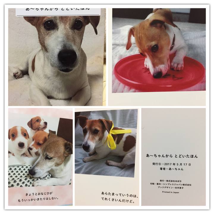 8e001702 62cb 4d22 a1ae 19bbe5c77ec5