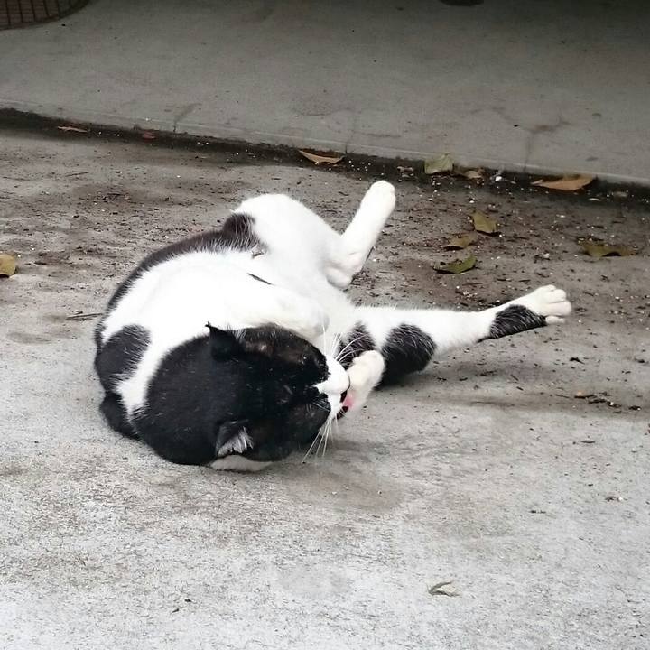 8e00af61 8a61 455b 8eb8 83c5c9de84bf