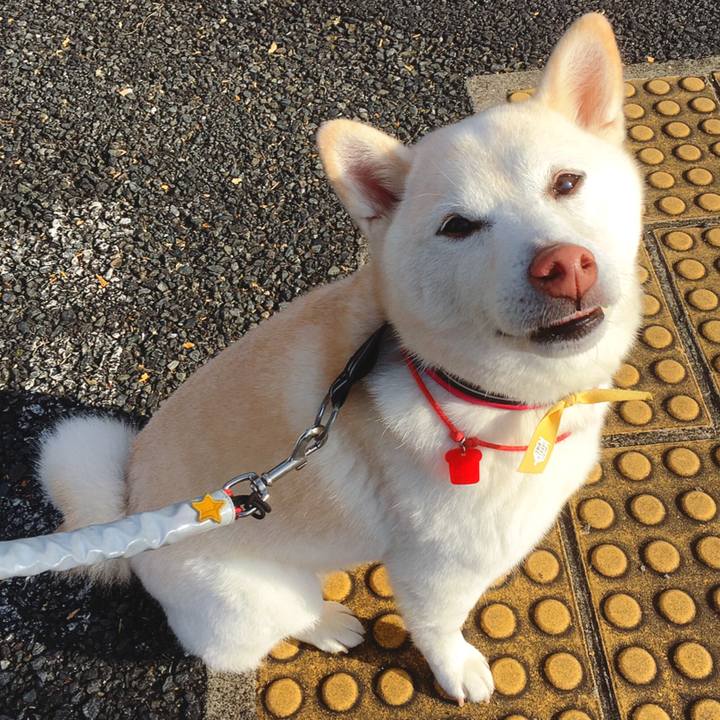 8e01833f fb21 48b6 b779 17285b0b1f39