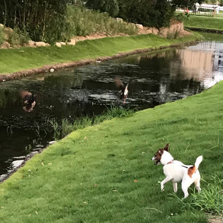 8e02acdd 9df2 4bf3 a233 888962609738