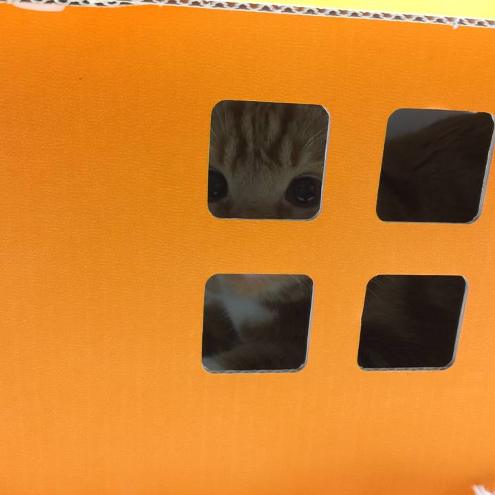 8e03737f 851f 4f1e a466 aaf1660038b6