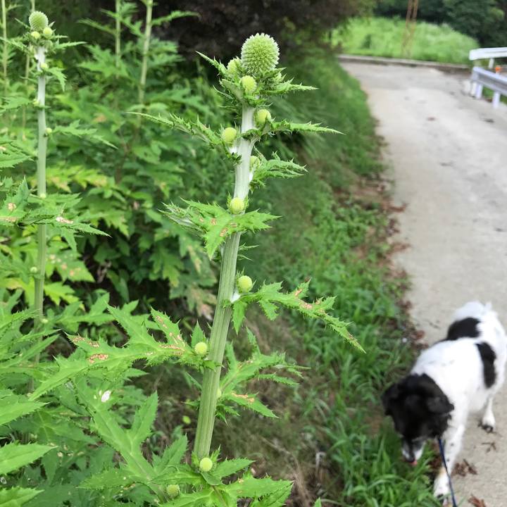 8e037757 95b6 45db 82f4 bd22030c7ac9