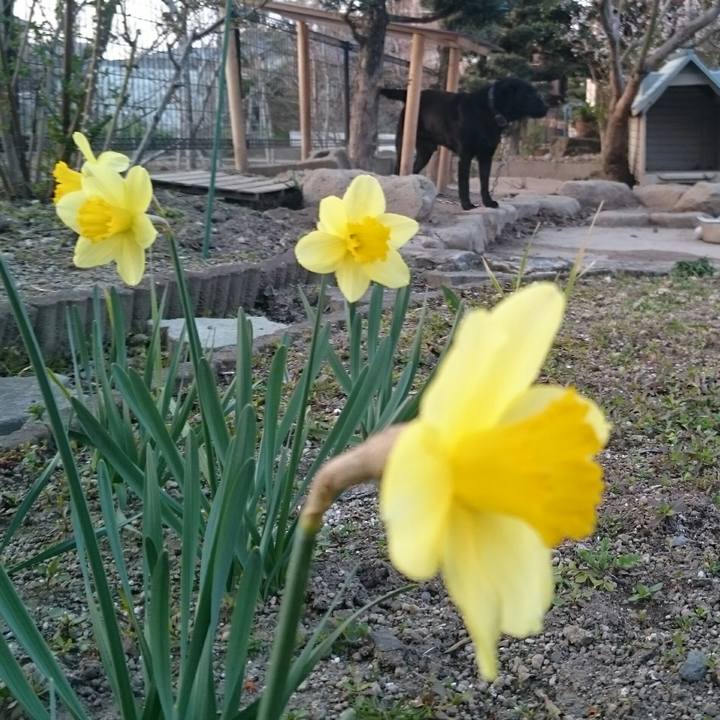 8e03e79b 92f0 4888 ae0b ad2442e8a7d9