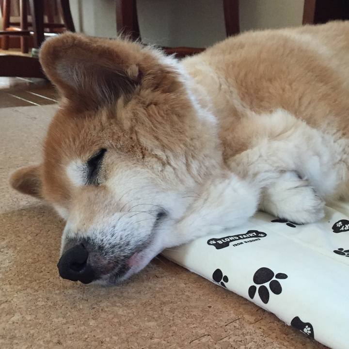 8e046c1d 5385 494f 85e1 9ce8bf196520