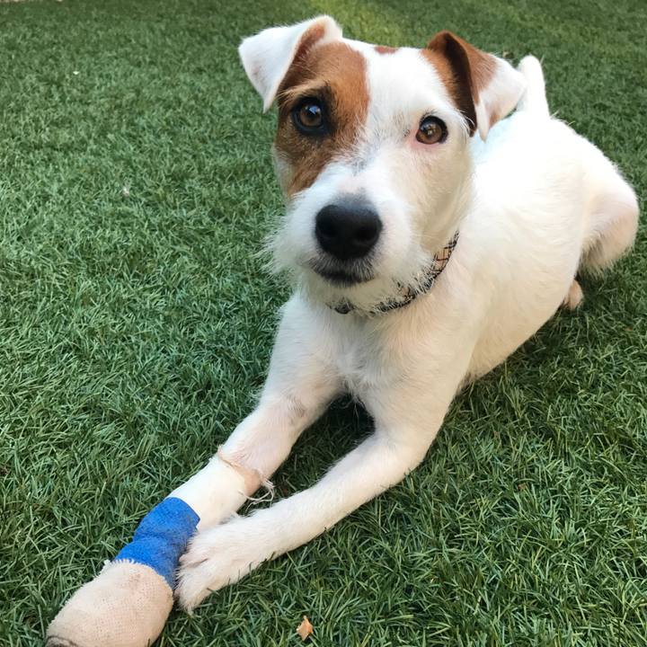 8e053a9d ca04 468e 8de0 8c2186ed37d7