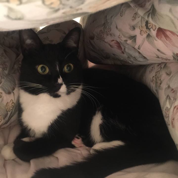 8e054788 4fb6 4ef7 be86 ae6bdd75a6c9