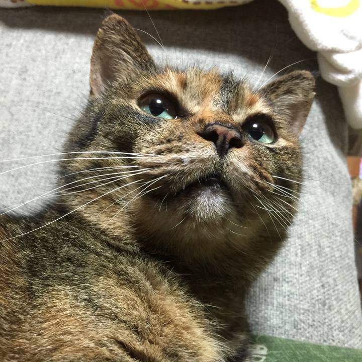 8e062587 daa2 4fb5 aebe 8a009e7a2fc9