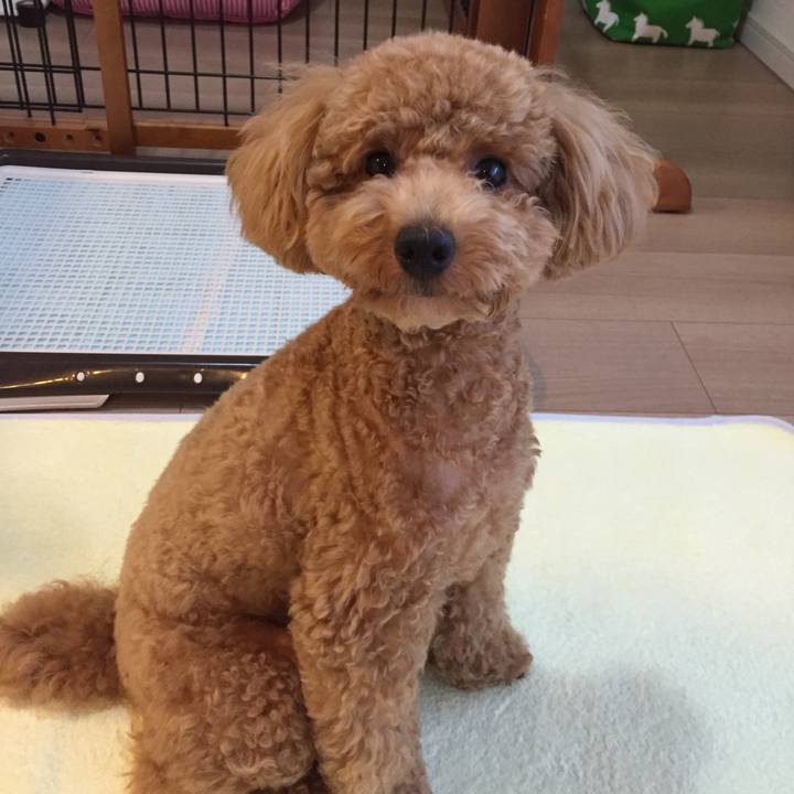 8e06b67d f75b 41e8 bedd f9d002651039