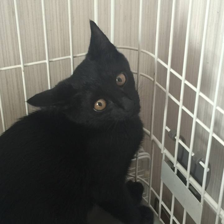 8e07d770 62e9 4b75 be28 e299911d6f4b