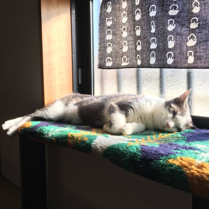 8e084146 0ff5 4cec 83eb af1337a16245