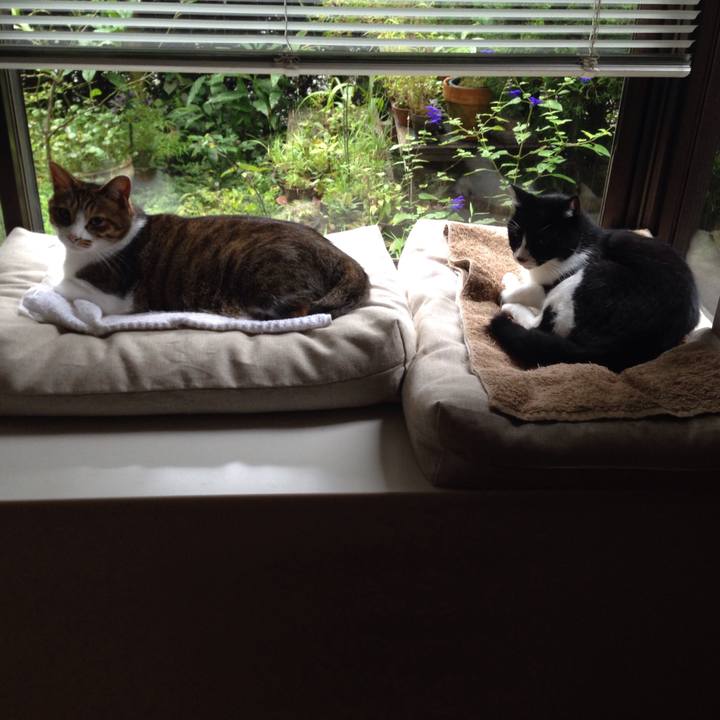 8e08b745 e2ff 4090 9e03 572e7766c91d