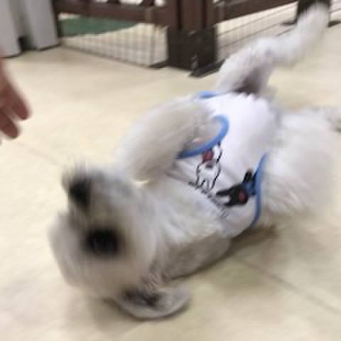 8e090f6d 7b2d 477e 9afb 02b2be41544b