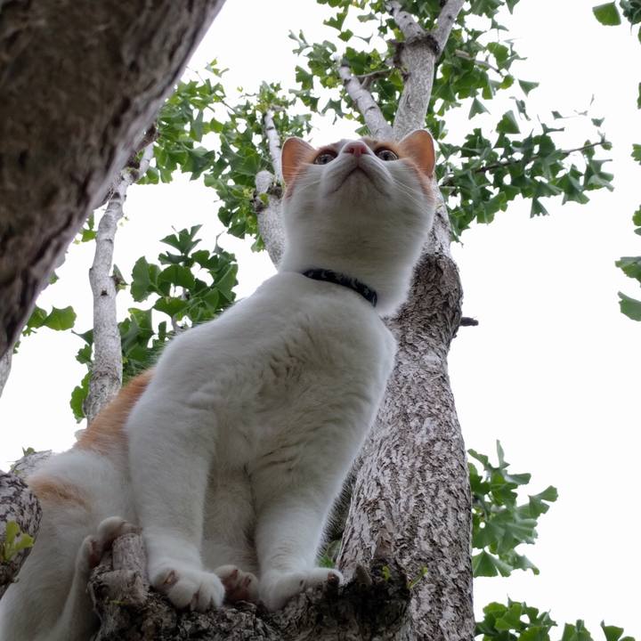 8e0998ff 6edb 43fe 9a98 6bb629951e26