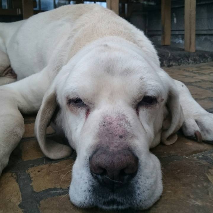 8e09b969 cdb6 4272 912b cb9ba9694e81